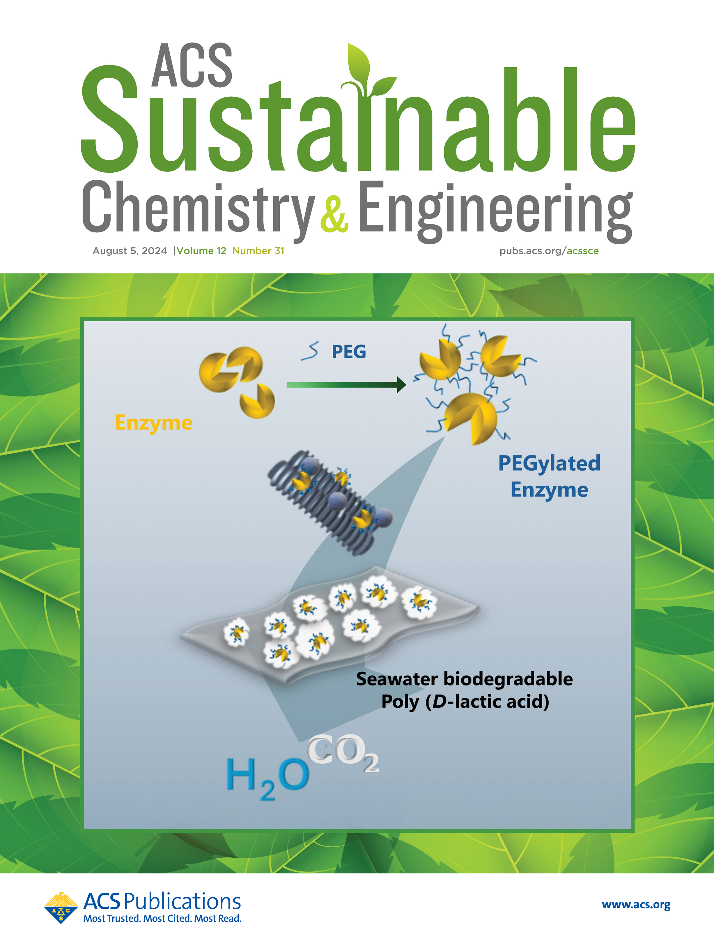 ascecg.2024.12.issue-31.xlargecover.jpg