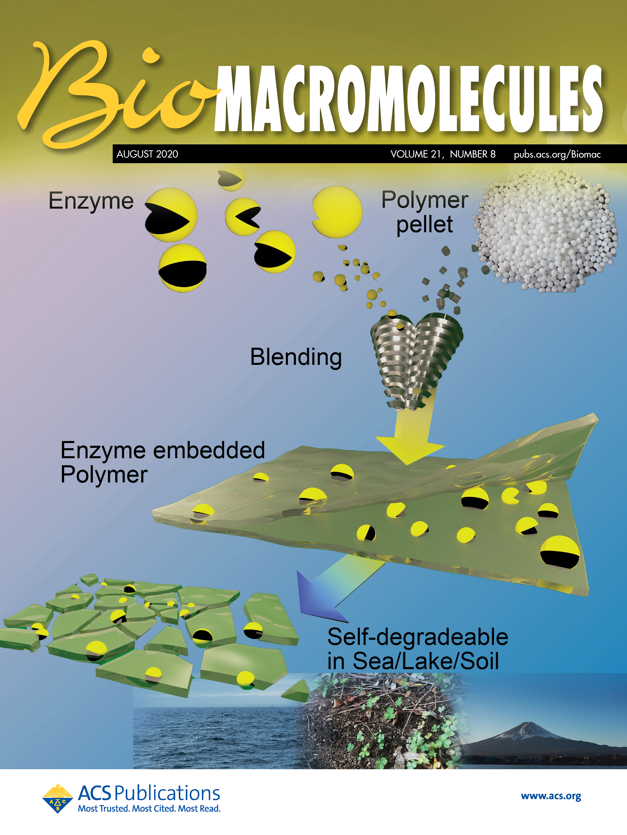 biomacromoleculars covers.jpg